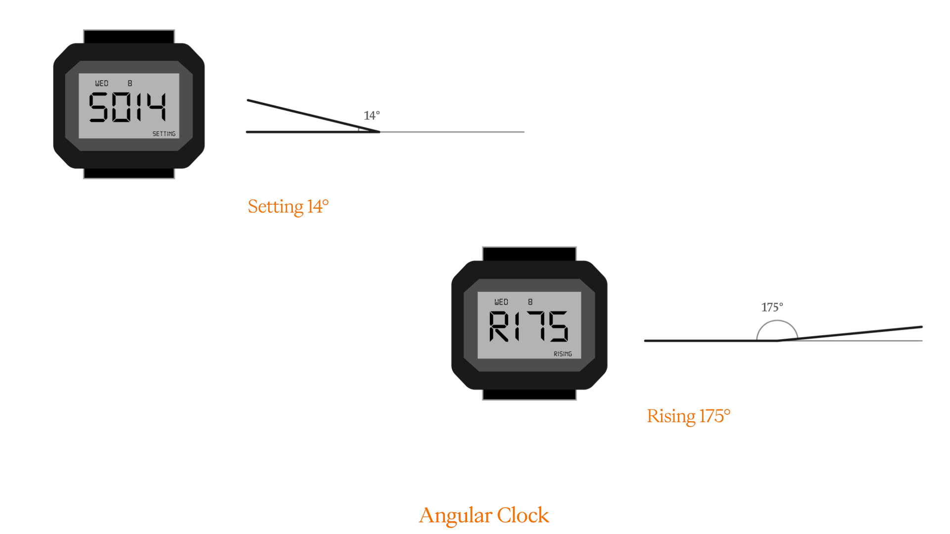 clock which uses angles of sunflower