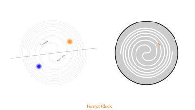 uses the fermat pattern in the sunflower