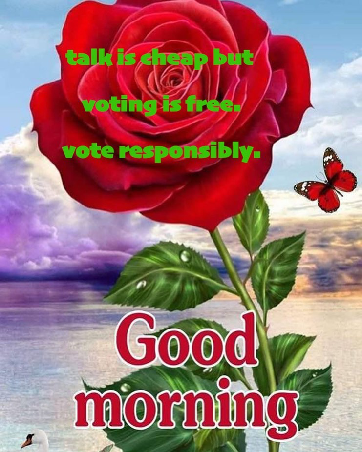 images from sodonechilling instagram account